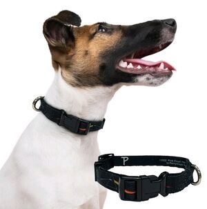 Perri's Pink Floyd Prisms Logo Dog Collar Black Size Medium (16-55 lbs)